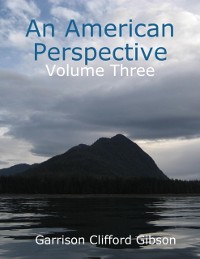 Cover American Perspective - Volume Three