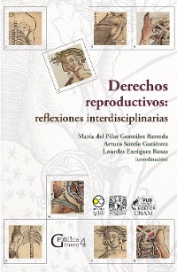 Cover Derechos reproductivos: reflexiones interdisciplinarias