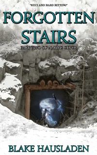 Cover Forgotten Stairs