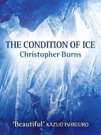 Cover Condition of Ice