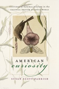 Cover American Curiosity