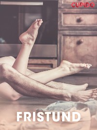 Cover Fristund – erotiske noveller