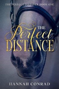 Cover The Perfect Distance