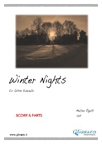 Cover Winter Nights