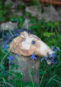 Cover Valossa