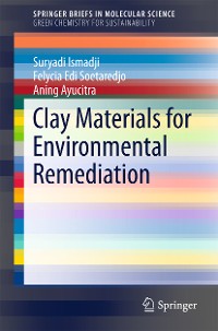 Cover Clay Materials for Environmental Remediation