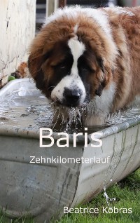 Cover Baris Zehnkilometerlauf