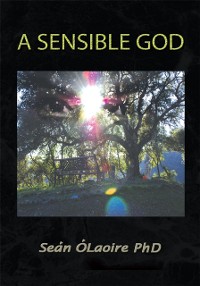 Cover Sensible God