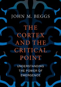 Cover Cortex and the Critical Point