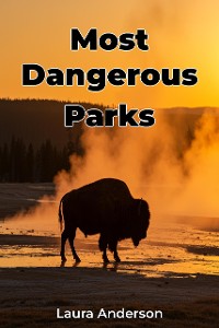 Cover Most Dangerous Parks