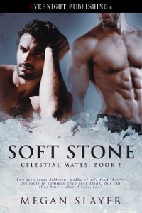 Cover Soft Stone