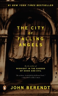 Cover City of Falling Angels