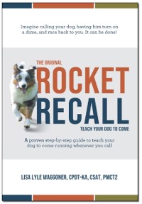 Cover Original Rocket Recall