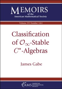 Cover Classification of $\mathcal {O}_\infty $-Stable $C^*$-Algebras