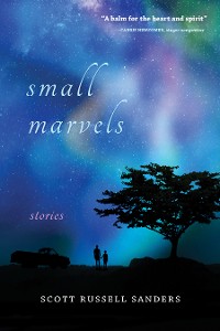 Cover Small Marvels