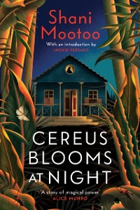 Cover Cereus Blooms at Night