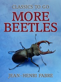 Cover More Beetles