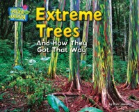 Cover Extreme Trees