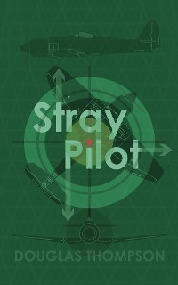 Cover Stray Pilot