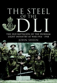 Cover Steel of the DLI