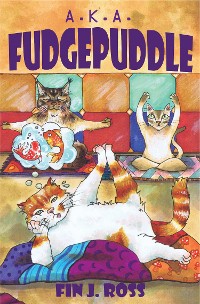 Cover A.K.A. Fudgepuddle