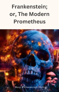 Cover Frankenstein; or, The Modern Prometheus