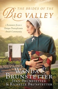 Cover Brides of the Big Valley