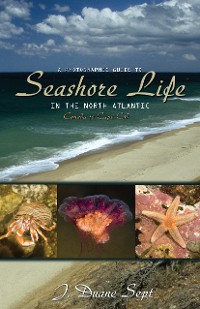 Cover A Photographic Guide to Seashore Life in the North Atlantic