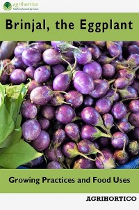 Cover Brinjals, the Eggplant