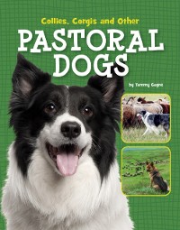 Cover Collies, Corgis and Other Pastoral Dogs
