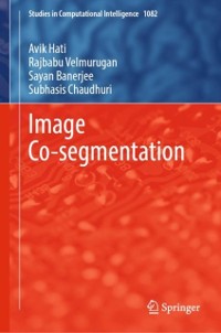 Cover Image Co-segmentation