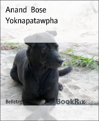 Cover Yoknapatawpha