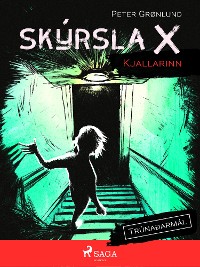 Cover Skýrsla X - Kjallarinn