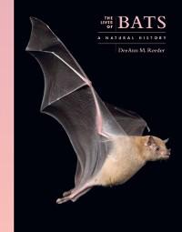 Cover Lives of Bats