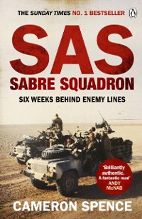 Cover Sabre Squadron