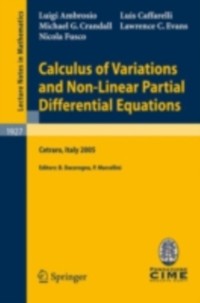 Cover Calculus of Variations and Nonlinear Partial Differential Equations