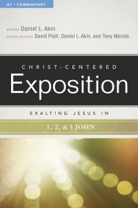 Cover Exalting Jesus in 1,2,3 John