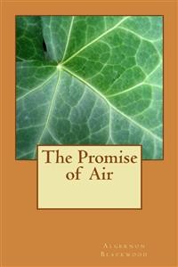 Cover The Promise of  Air