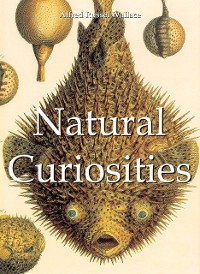 Cover Natural Curiosities