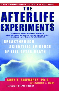 Cover Afterlife Experiments