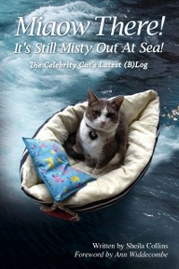 Cover Miaow There! It's Still Misty Out At Sea!