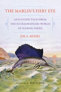 Cover Marlin's Fiery Eye and Other Tales from the Extraordinary World of Marine Fishes