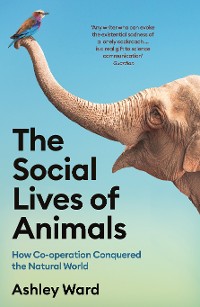 Cover The Social Lives of Animals