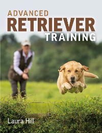 Cover Advanced Retriever Training