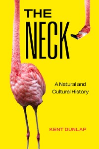 Cover The Neck