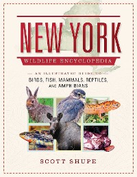 Cover New York Wildlife Encyclopedia