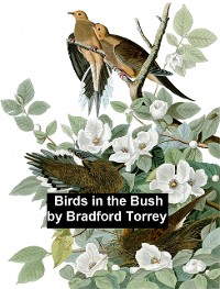 Cover Birds in the Bush