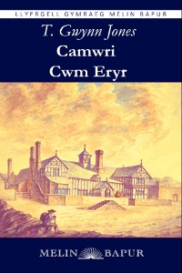 Cover Camwri Cwm Eryr (eLyfr)