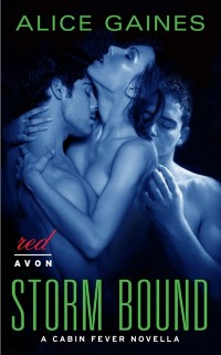Cover Storm Bound : A Cabin Fever Novella