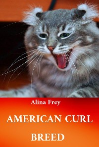 Cover American Curl Breed